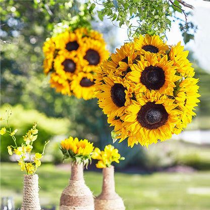 Sublime Garden Hanging Arrangement –  The Flower Shop For All Occasions, California MO