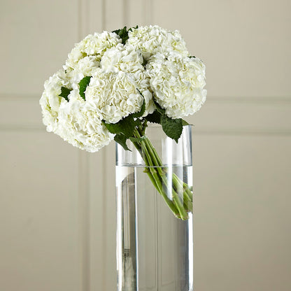 White Hydrangea Hand-Tied Bouquet –  The Flower Shop For All Occasions, California MO