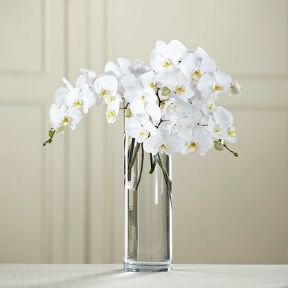 White Phalaenopsis Bouquet –  The Flower Shop For All Occasions, California MO
