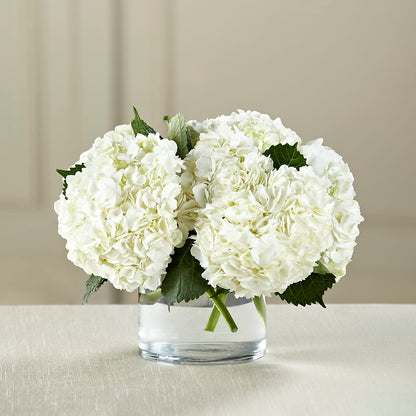 White Hydrangea Bouquet –  The Flower Shop For All Occasions, California MO